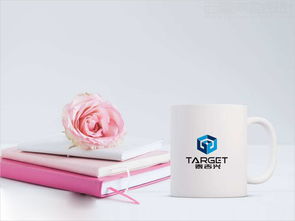 北京泰吉興投資公司標(biāo)志設(shè)計(jì)案例圖片與理念說明 北京西風(fēng)東韻設(shè)計(jì)公司